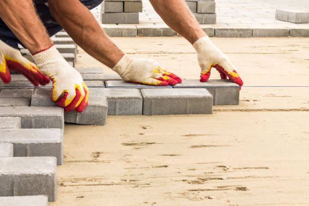 Best Professional Driveway Pavers  in Freer, TX