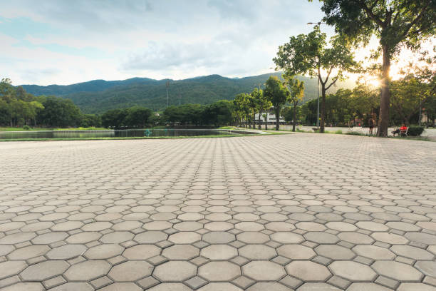 Best Residential Driveway Paver Services  in Freer, TX