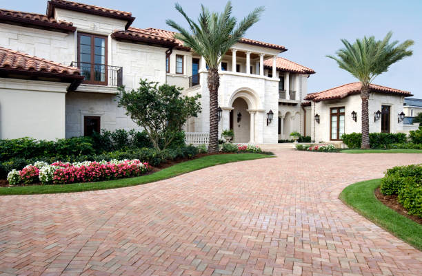 Best Residential Paver Driveway  in Freer, TX